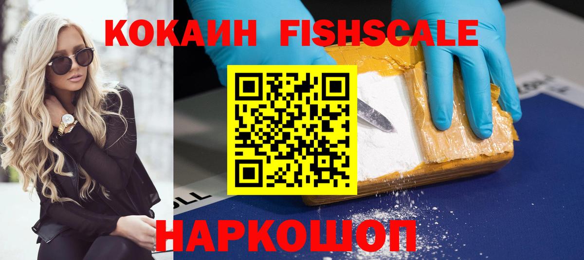 Cocaine Fish Scale  Вход с VPN  что такое   Вязники  Cocaine Fish Scale  COCAIN 