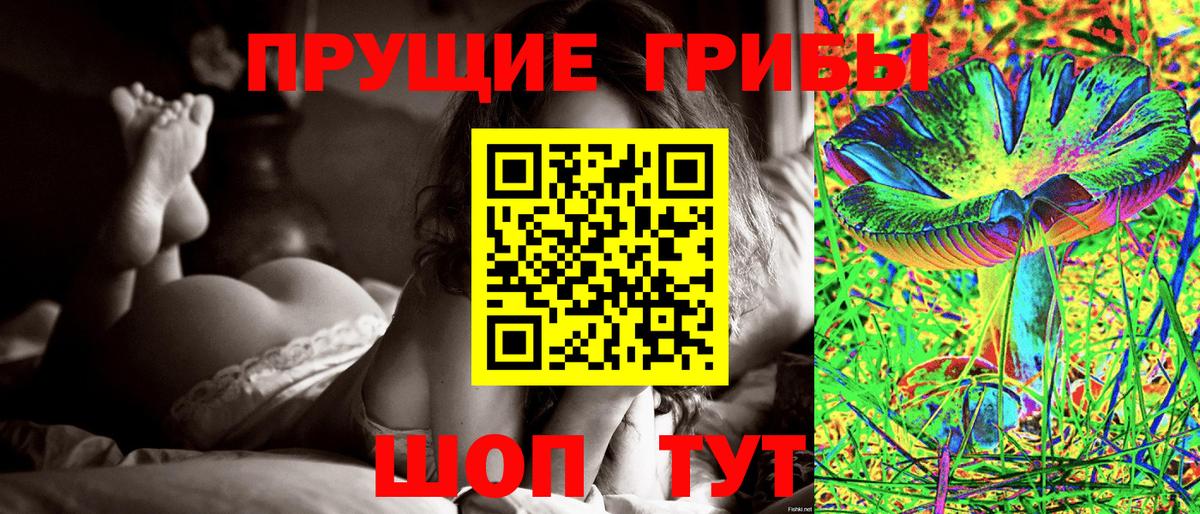 Галлюциногенные грибы Cubensis  Вход с VPN  Вязники 