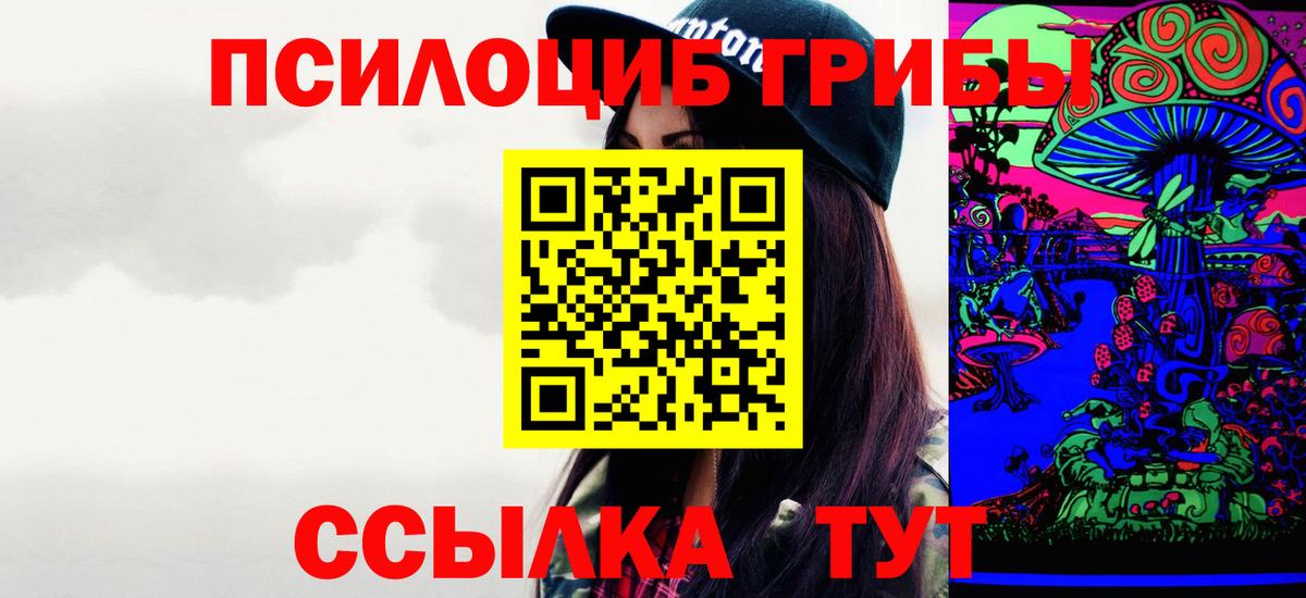 Галлюциногенные грибы Cubensis Вязники
